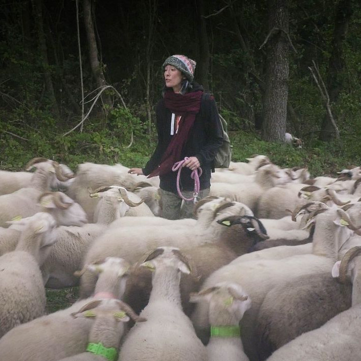 Rencontre avec le réalisatrice Sandra DUCASSE - La réponse de la bergère
